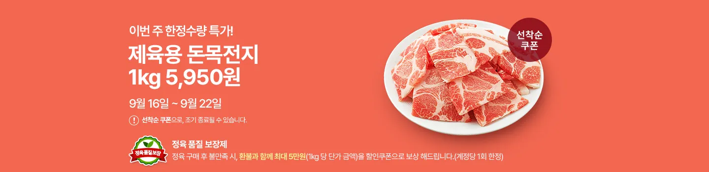 기획전 상단 이미지