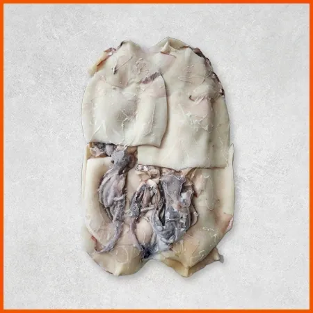 할복 오징어 (5Kg/BOX)