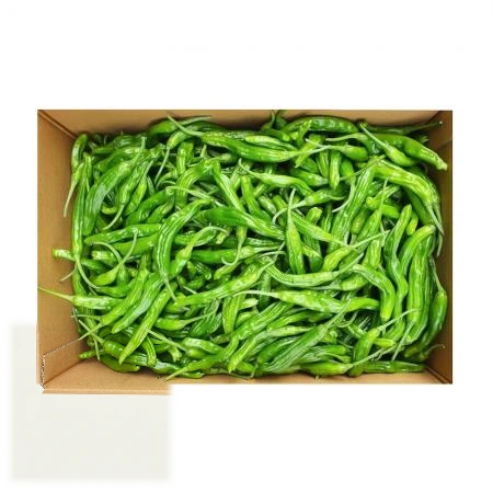 꽈리고추(상) 4kg