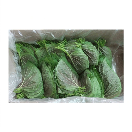 찹찹이 깻잎 1kg
