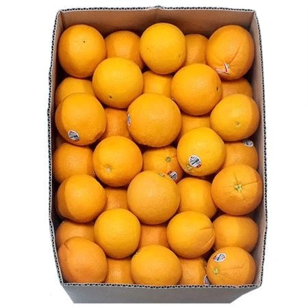 오렌지 (88과 생과용 17Kg/BOX)