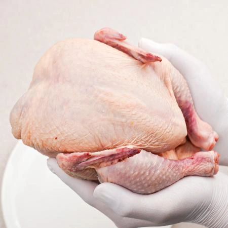 업소용 수입산 생닭 10kg 할랄