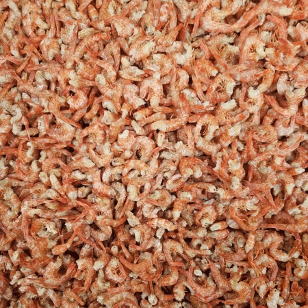 두절건새우(중)<특>1kg/중국산