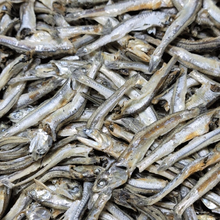 고추장고바멸치<특>1.5kg/국산