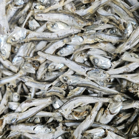 국물용다시멸치<특>1.5kg/국산