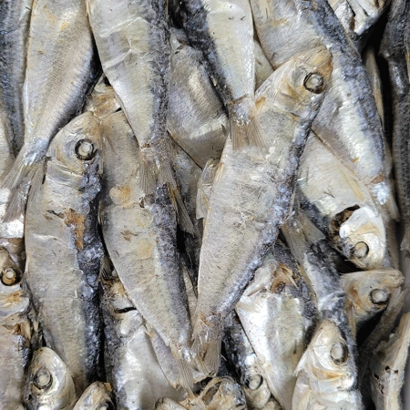 육수용디포리(중)<식자재>1.5kg/베트남산
