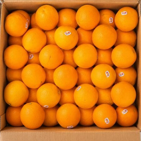 오렌지 17kg 내외 (88과) 수입산 BOX 