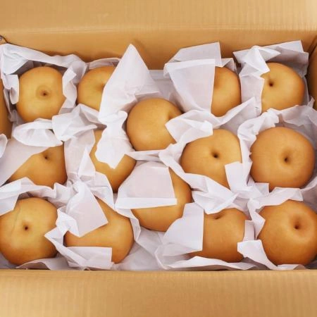 (D)신고배(국내산/상급/1번과/750g내외/15kg(11~19EA))BOX