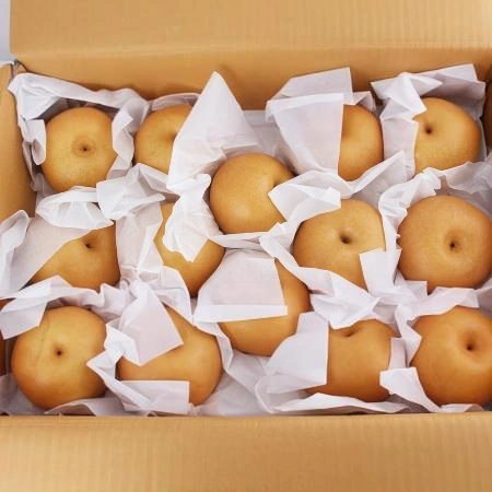 (D)신고배(국내산/상급/2번과/510g내외/15kg(21~29EA))BOX