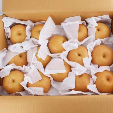(D)신고배(국내산/상급/3번과/380g내외/15kg(31~39EA))BOX