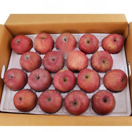 (D)사과(국내산/상급/31~35번과/280g내외/10kg)BOX