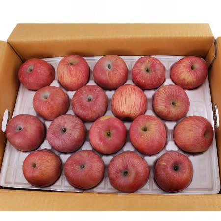 (D)사과(국내산/상급/41~45번과/220g내외/10kg)BOX