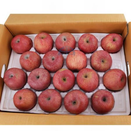 (D)사과(국내산/상급/46~50번과/200g내외/10kg)BOX