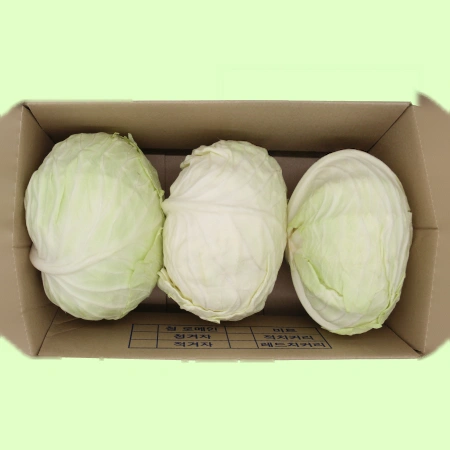 양배추 깐것 국내산 크기랜덤 (5kg/BOX)