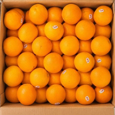 오렌지 17kg 내외 (88과) 수입산 BOX