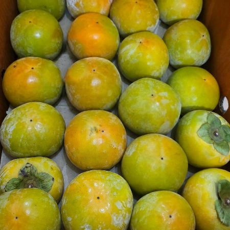 단감 10kg(47~53과,국산)BOX