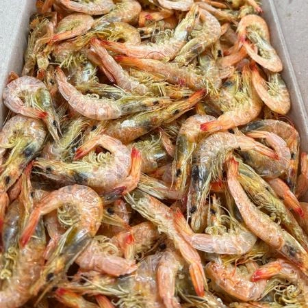 국내산 햇 건새우 건 중하새우 1.5kg 실속형 업소용