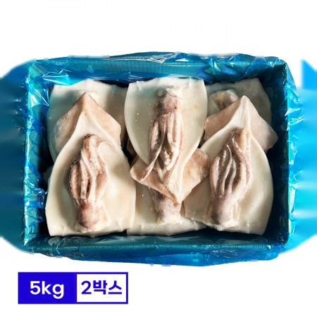 할복오징어 5kg(약8~11미) X 2박스