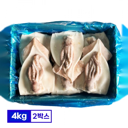 할복오징어 4kg(약20~24미) X 2박스