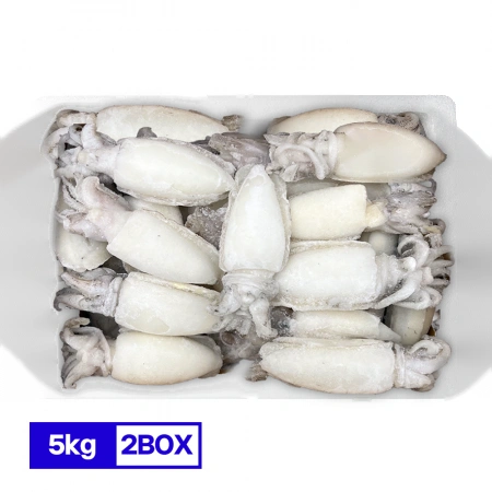 홀크린 갑오징어 10kg 100/200