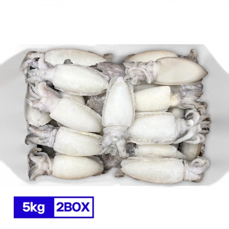 홀크린 갑오징어 10kg 300/500