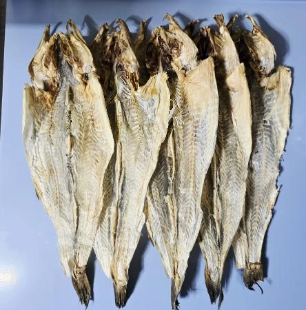 먹태껍질 황태껍질 10장 통껍질