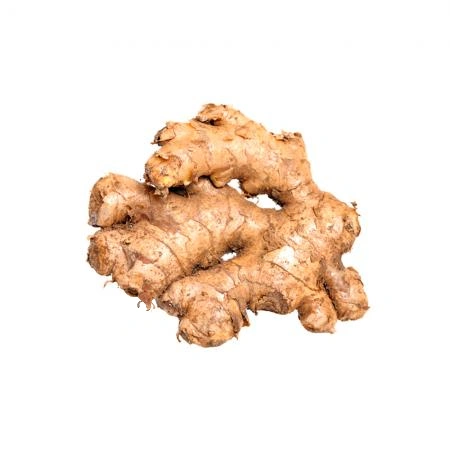 흙생강 국내산 1kg