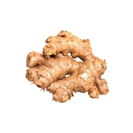 흙생강 국내산 1kg
