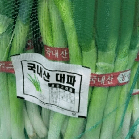 ★초특가★ 흙 대파 10단 (국내산) 흙대파