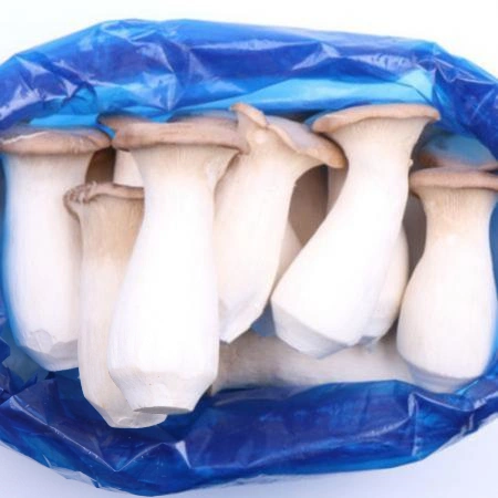새송이 버섯 2kg (특,국내산)BOX