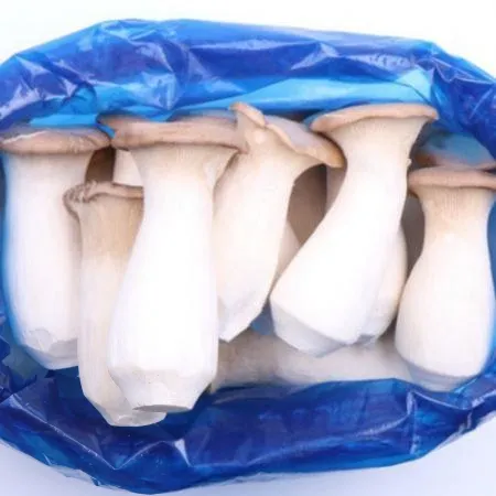 새송이 버섯 2kg (특,국내산)BOX