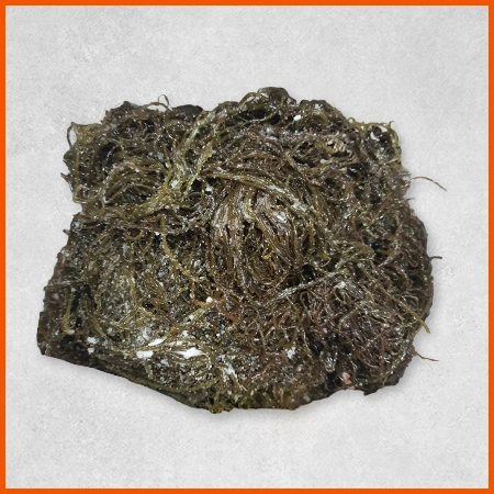염장꼬시래기(5Kg/BOX)/국내산