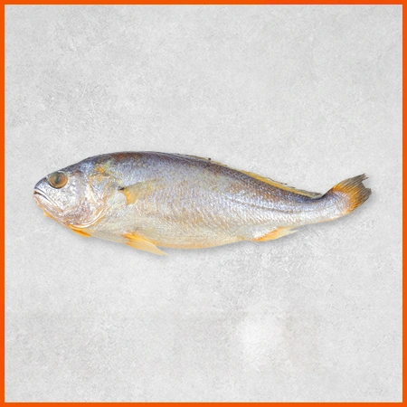 조기(무염_70~90g/평균 마리 80g/EA) 중국산 조기