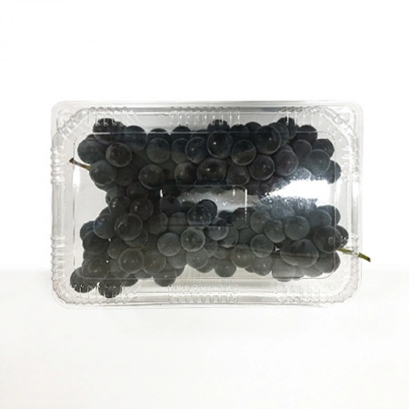 캠벨포도(1Kg/EA)