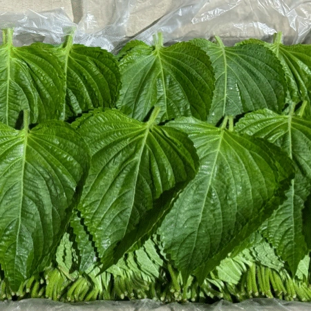 깻잎 1kg (찹찹이,국내산)BOX
