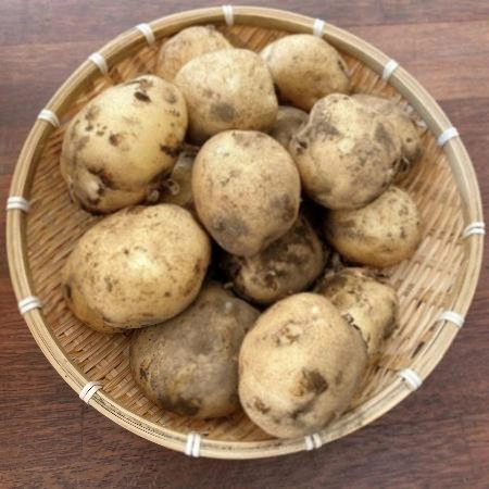 감자 1kg (대,국내산)