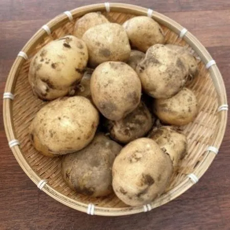 감자 1kg (대,국내산)