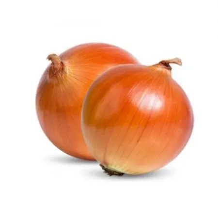 피양파 1kg (1번구,국내산)