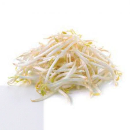 숙주 1kg (소분,국내산)