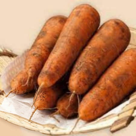 흙당근 1kg (소분,국내산)
