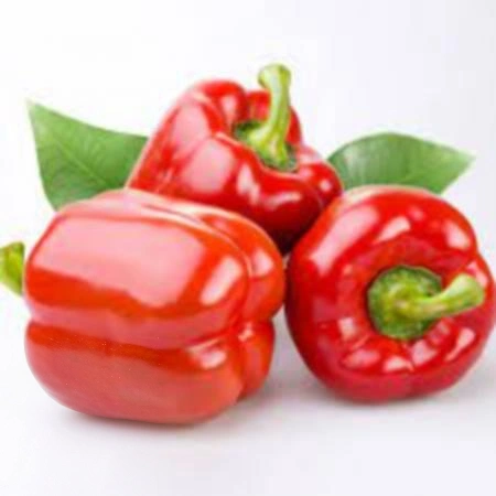 빨강 파프리카 1kg (M140g이상,국산) 파프