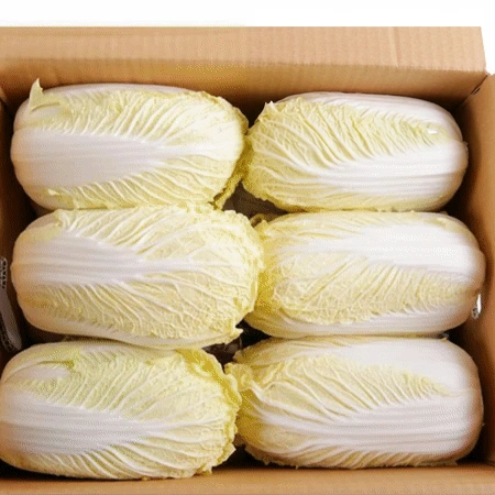 알배기 쌈배추 8kg (특,국내산)BOX