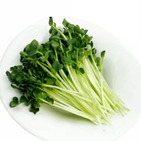 무순 50g (소,팩,국내산)