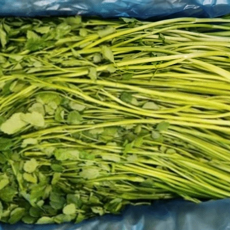 돌미나리 4kg (국내산) 미나리