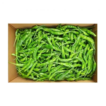 꽈리고추(특) 4kg
