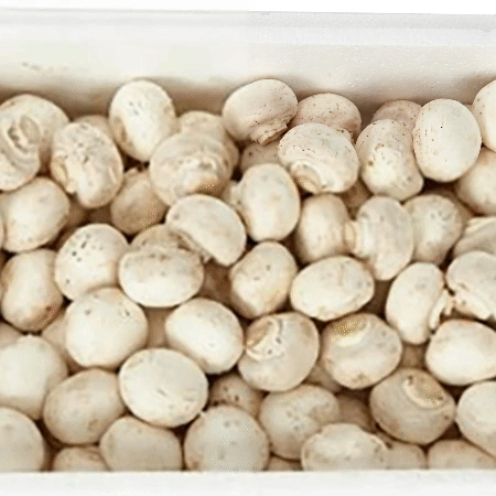 양송이버섯 2kg (특,국내산)BOX
