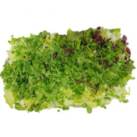 베이비순 50g (어린순,팩,소,국내산)