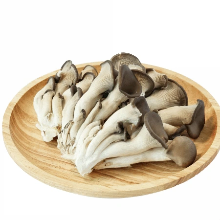 느타리버섯 1팩 (200g,국내산) 느타리 버섯