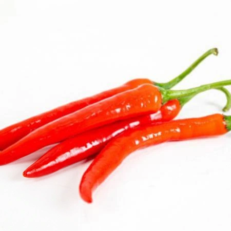홍고추 1kg (상,국내산)