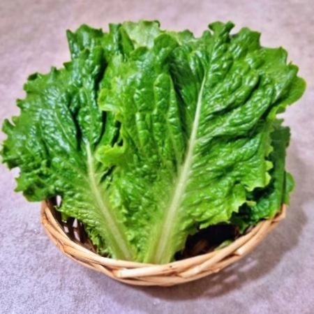 청로메인 1kg (국내산) 로메인 청